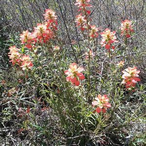 Meet your Posher, Meredith